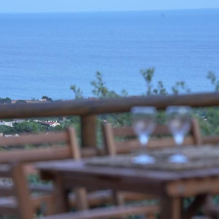 バダロナ Aaa View Private Terrace Outdoor Heated Hot Tub Family Funヴィラ エクステリア 写真